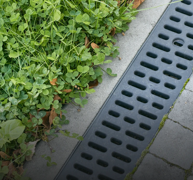 Lush greenery next to concrete drain